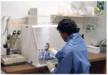 Ductless Fume Hood